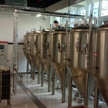 匠心釀造，品味非凡 山東德朗機械制造引領自釀啤酒設備新潮流